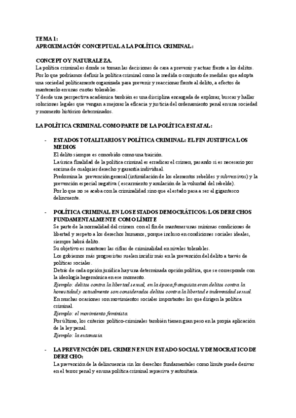 Miniatura del documento RESUMENES-POLITICA-CRIMINAL-2.pdf