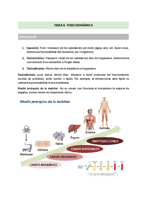 Miniatura del documento TEMA-8.pdf