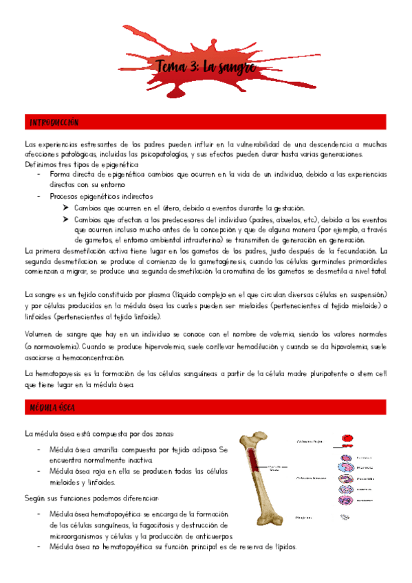 Miniatura del documento Tema-3.pdf