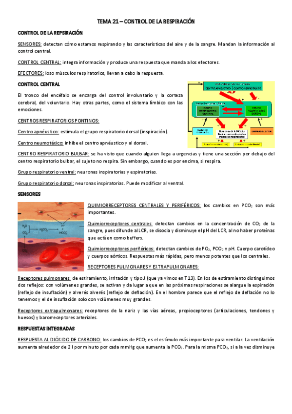 Miniatura del documento TEMA-21.pdf