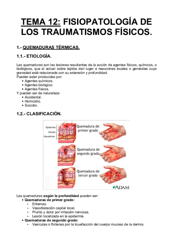 Miniatura del documento Tema-12-Fisiopatologia-de-los-trumatismos-fisicos.pdf
