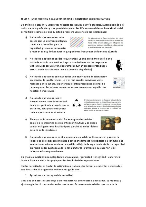Miniatura del documento Diagnostico-de-necesidades-teoria.pdf