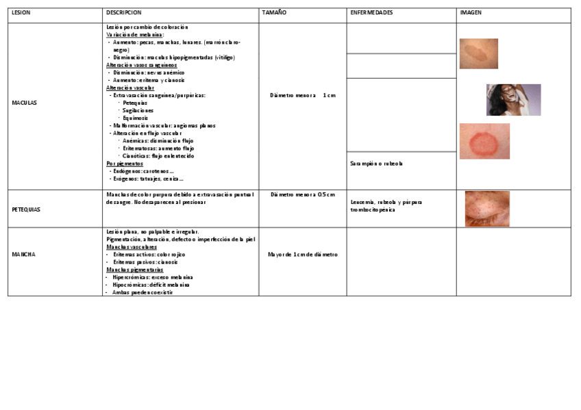Miniatura del documento TABLAS-RESUMEN-LESIONES-TEGUMENTARIO.pdf