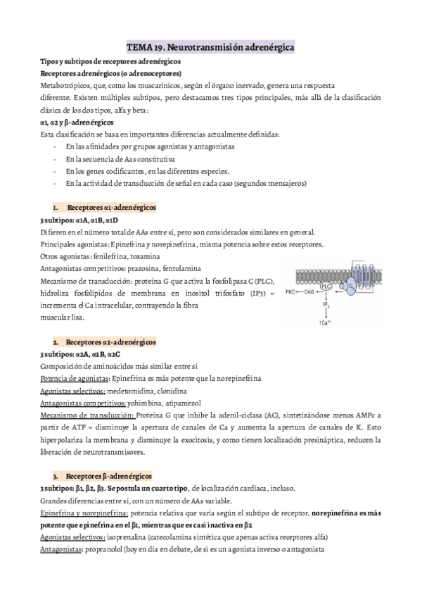Miniatura del documento TODO-FARMA-2-PARCIAL.pdf