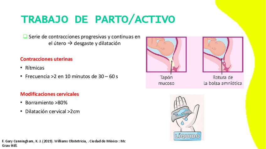 Miniatura del documento Periodos-y-mecanismos-del-trabajo-de-parto.pdf