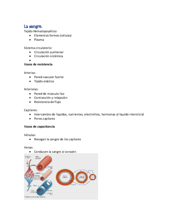 Miniatura del documento Fisiologia-parcial-2.pdf