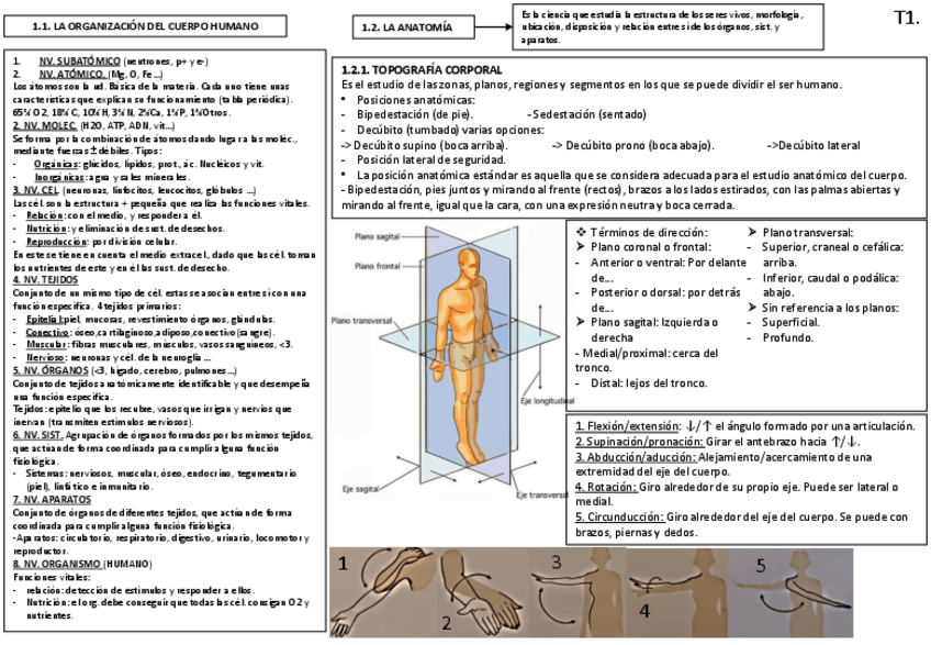 Miniatura del documento TEMA-1-2.pdf