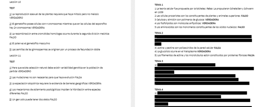 Miniatura del documento Captura2.PNG