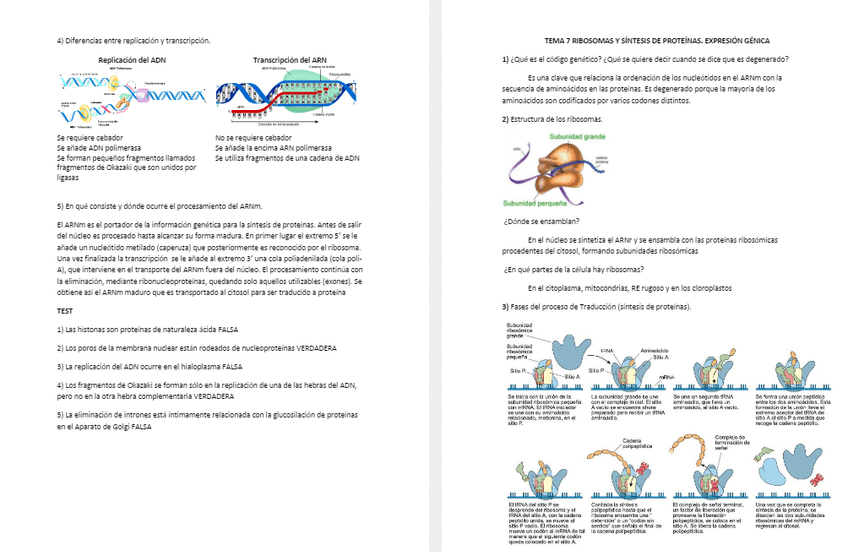 Miniatura del documento Captura3.PNG