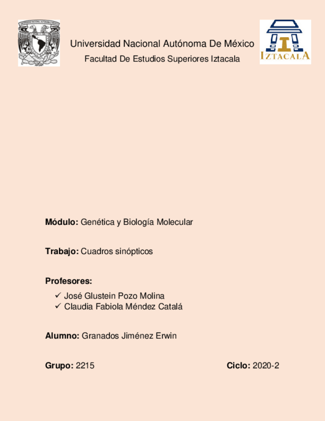 Miniatura del documento CUADROS-SINOPTICOS-DE-GENETICA-CLINICA-UNAM-FES-IZTCALA.pdf