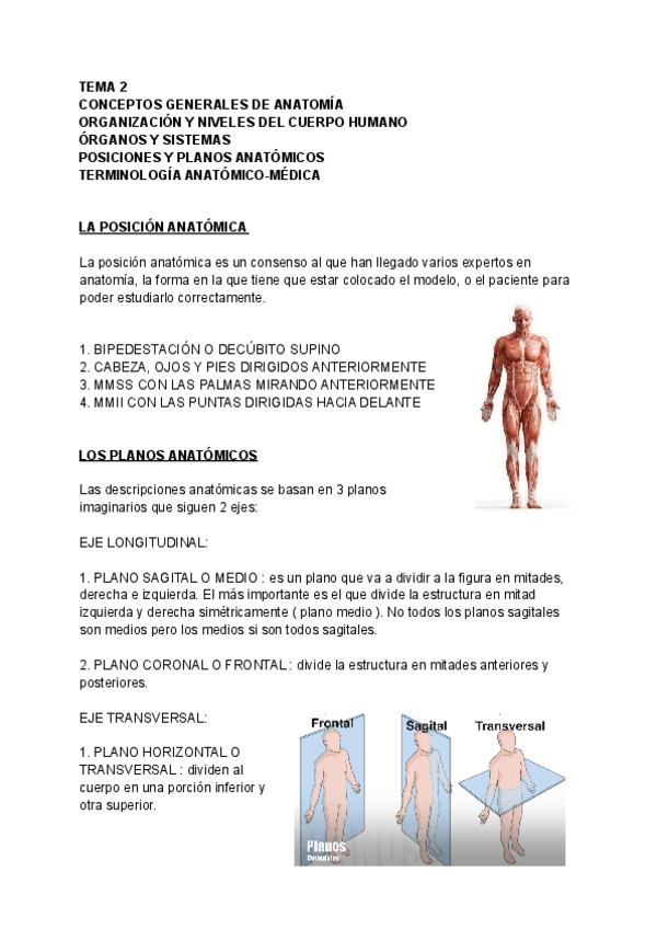 Miniatura del documento TEMA-2-Anatomia-1.pdf