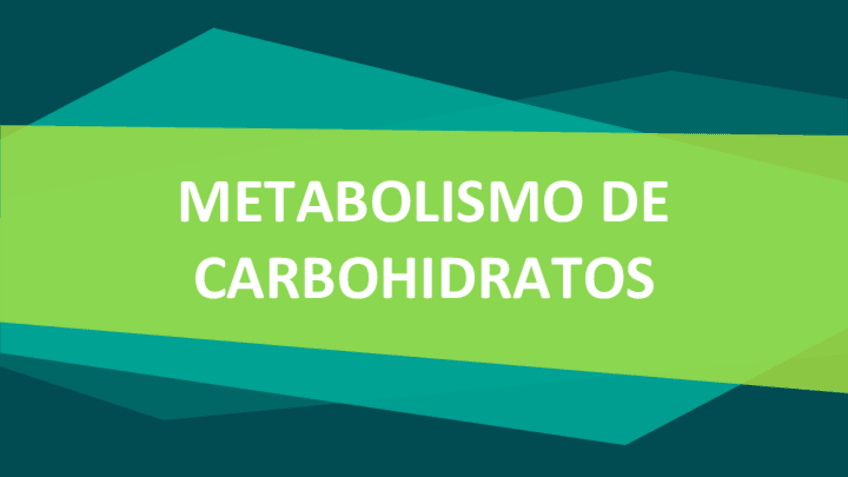 Miniatura del documento Metabolismo-de-carbohidratos-Expo.pdf