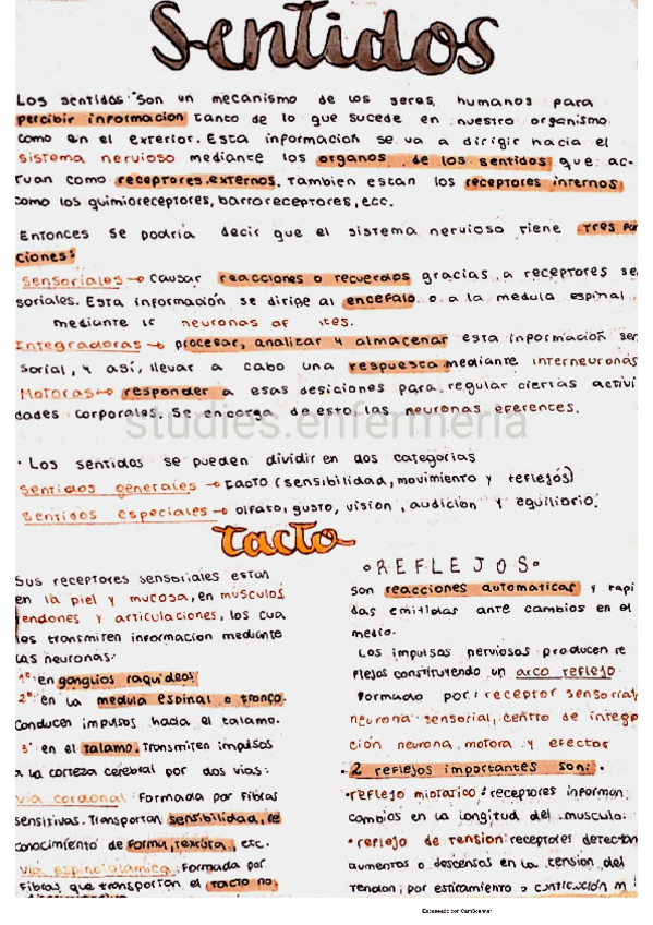 Miniatura del documento sentidos.pdf