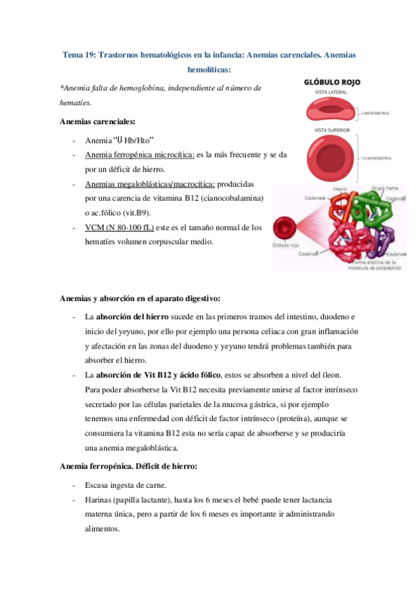 Miniatura del documento Tema-19-Anemias-carenciales-y-Anemias-hemoliticas.pdf