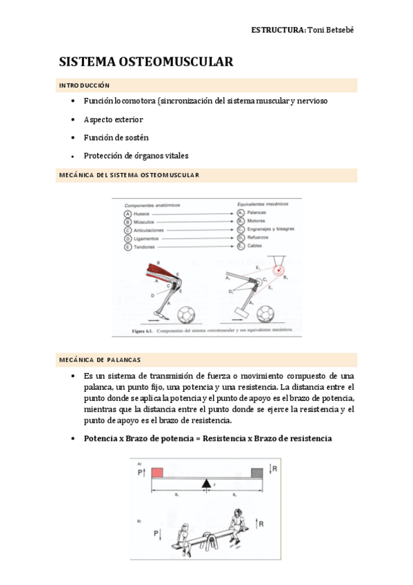 Miniatura del documento SISTEMA-OSTEOMUSCULAR.pdf