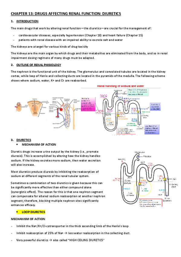 Miniatura del documento CHAPTER-13.pdf