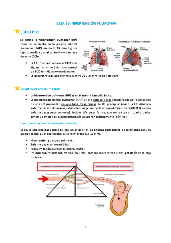 Miniatura del documento T16-Hipertension-pulmonar.pdf