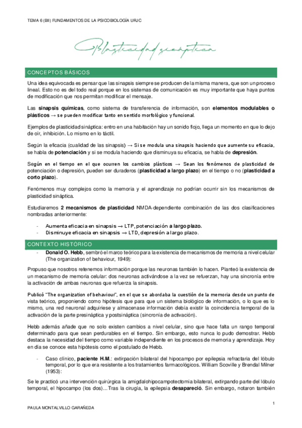 Miniatura del documento TEMA-6.pdf