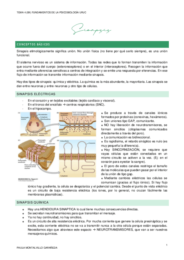 Miniatura del documento TEMA-4.pdf