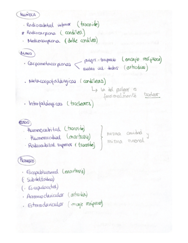 Miniatura del documento Articulaciones-miembro-superior.pdf