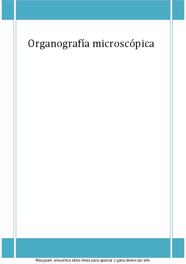 Miniatura del documento Apuntes OrganografÃ­a.pdf