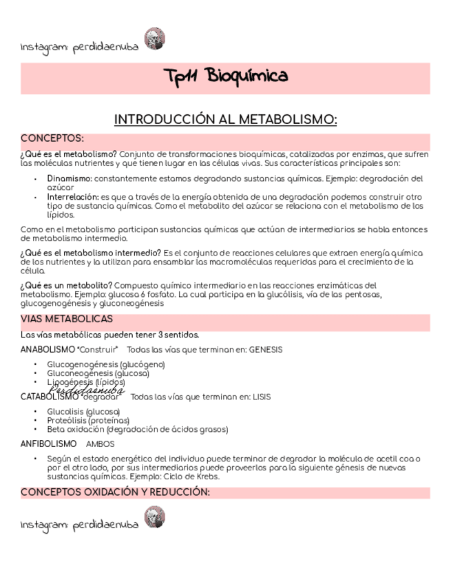 Miniatura del documento Tp11-Bioquimica.pdf