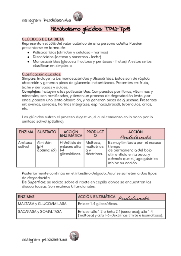 Miniatura del documento TP12-13-BIOQUIMICA.pdf