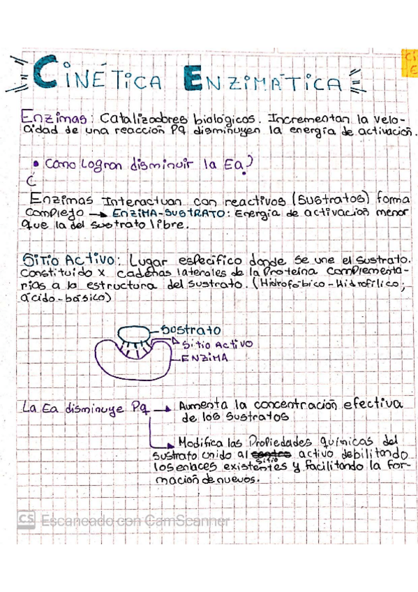 Miniatura del documento CINETICA-ENZIMATICA.pdf