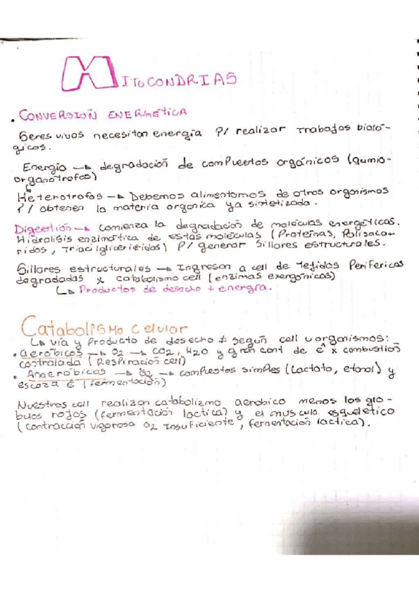 Miniatura del documento MITOCONDRIAS.pdf