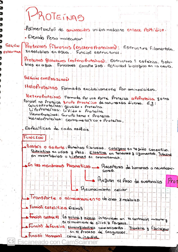 Miniatura del documento PEQUENAS-MOLECULAS.pdf