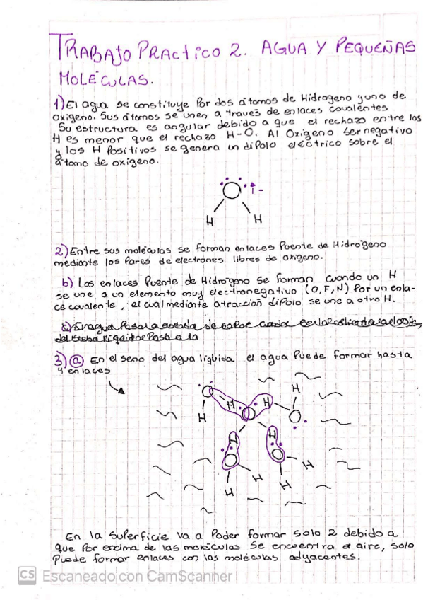 Miniatura del documento TRABAJO-PRACTICO-3.pdf
