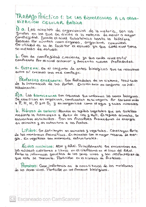Miniatura del documento TRABAJO-PRACTICO-2.pdf