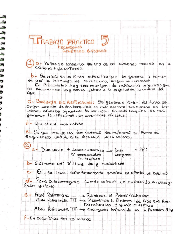 Miniatura del documento TRABAJO-PRACTICO-5.pdf