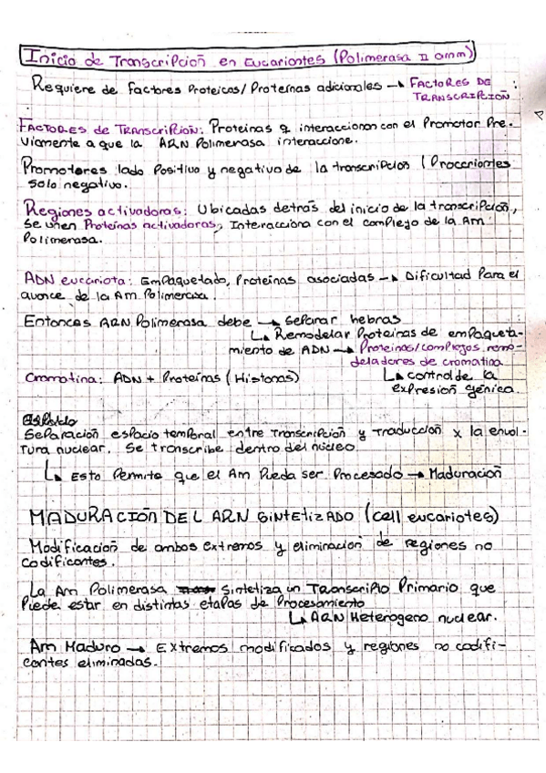 Miniatura del documento TRANSCRIPCION.pdf