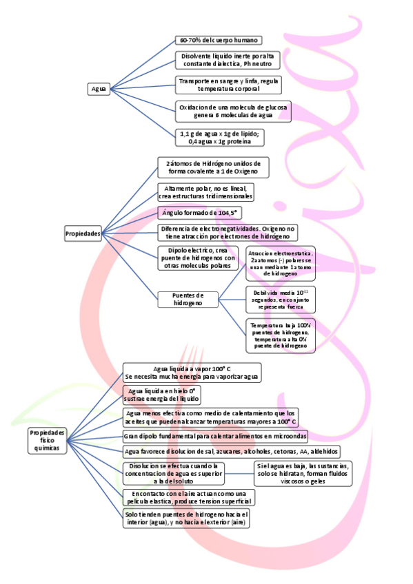 Miniatura del documento Agua-quimica.pdf