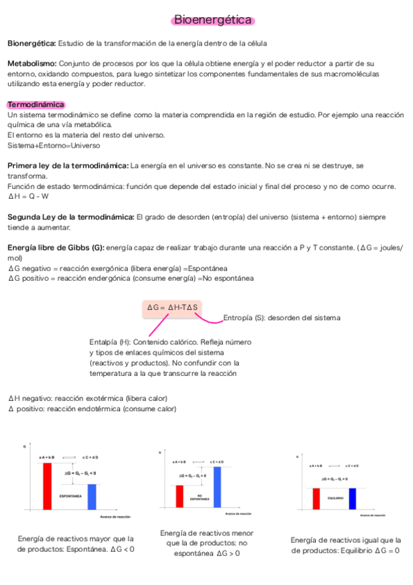 Miniatura del documento Bioenergetica.pdf