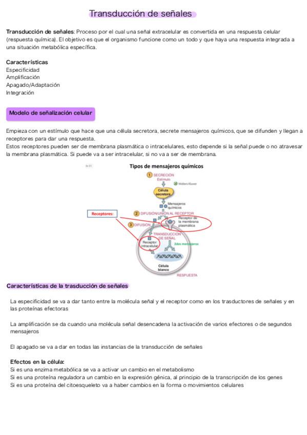 Miniatura del documento Transduccion-de-senales.pdf