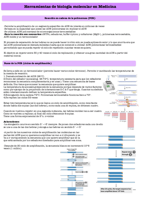 Miniatura del documento Herramientas-de-biologia-molecular-en-medicina.pdf