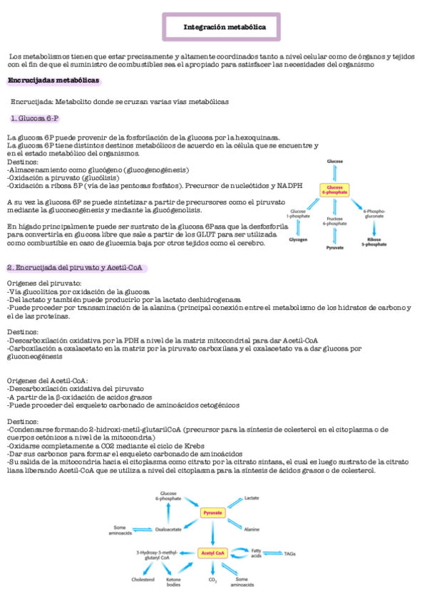 Miniatura del documento Integracion-metabolica-parte-A.pdf
