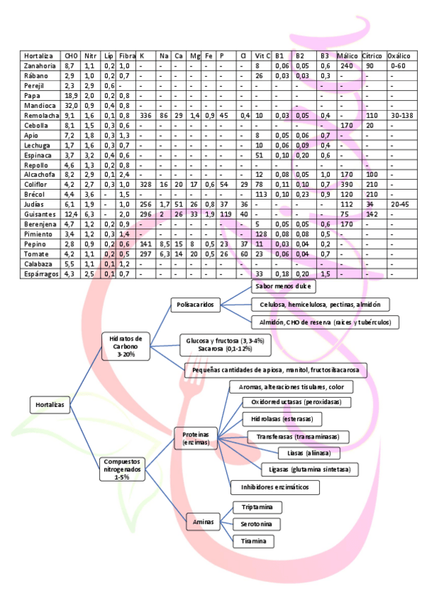 Miniatura del documento Hortalizas-quimica.pdf