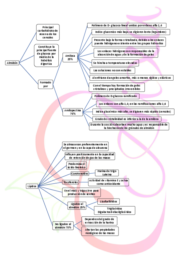 Miniatura del documento 2-Cereales-Almidon-proteinas-y-lipidos-Quimica.pdf