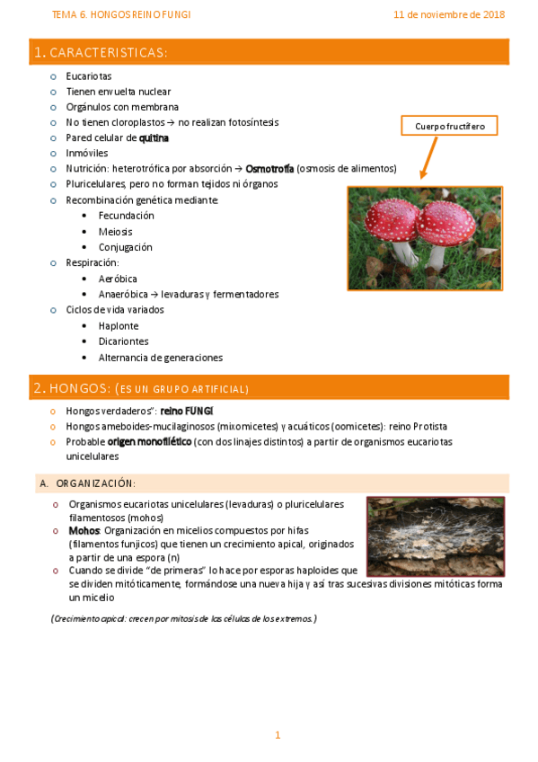 Miniatura del documento TEMA-6-HONGOS.pdf