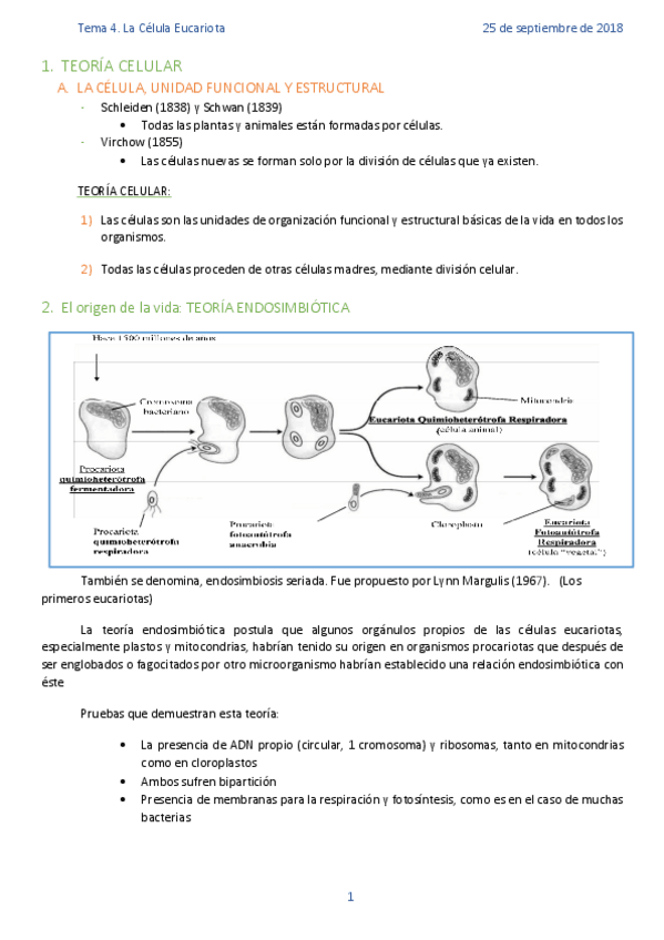 Miniatura del documento TEMA-4-CELULA-EUCARIOTA.pdf