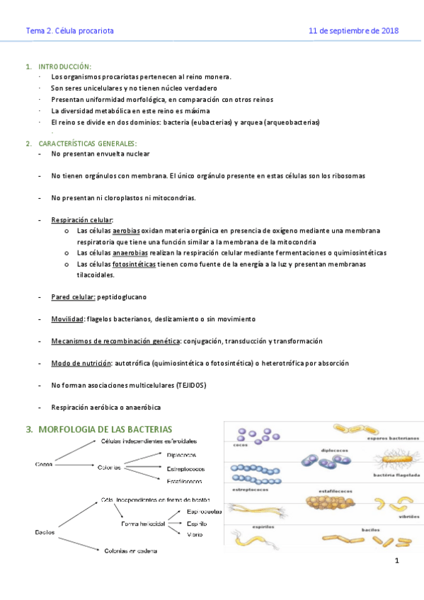 Miniatura del documento TEMA-2.pdf