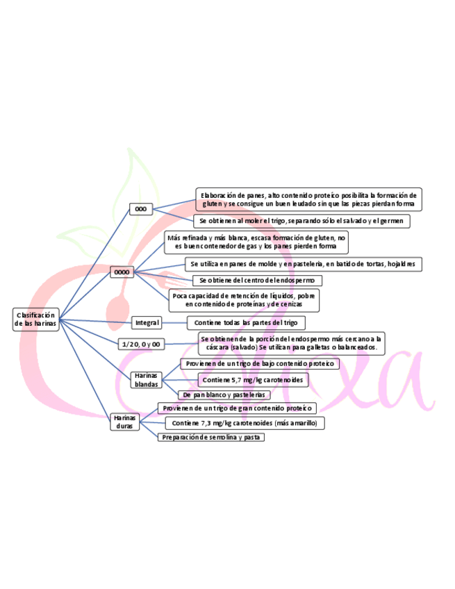 Miniatura del documento Clasificacion-de-harinas-quimica.pdf