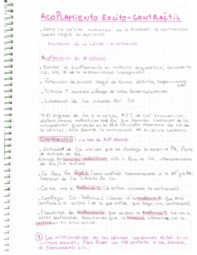 Miniatura del documento Acoplamiento-Excito-contractil-Y-Presion-Arterial.pdf