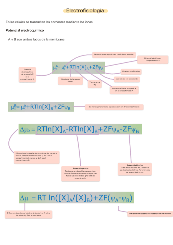 Miniatura del documento Electrofisiologia-general.pdf