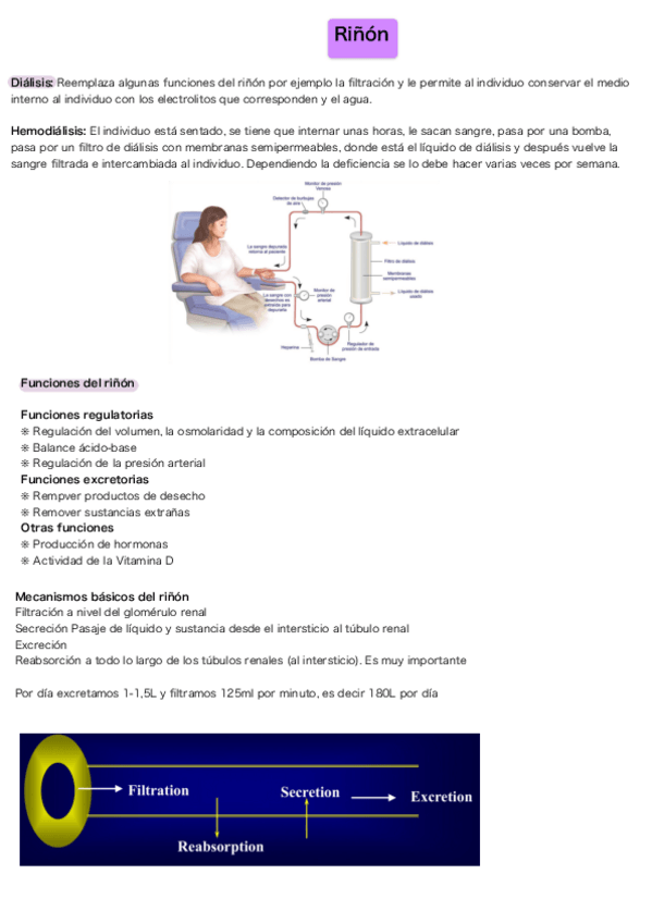 Miniatura del documento Rinon.pdf