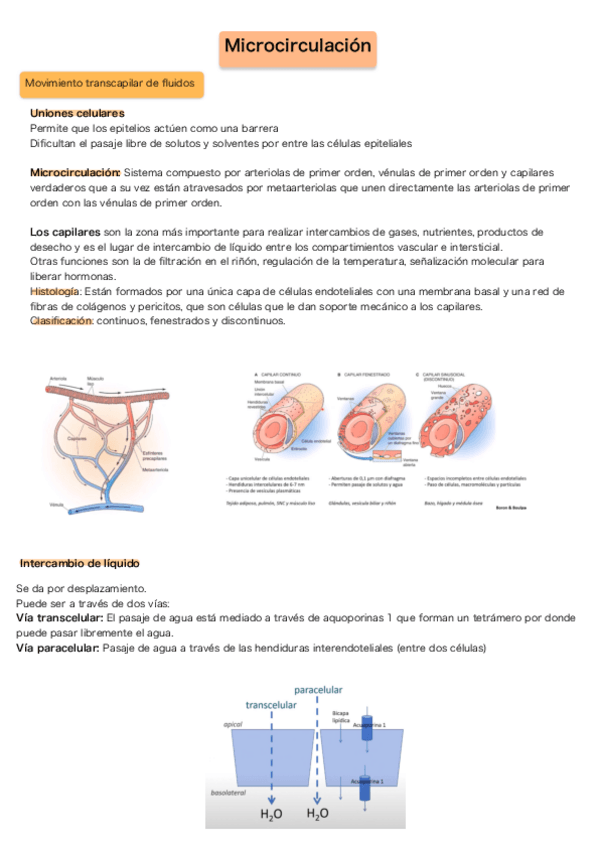 Miniatura del documento Microcirculacion.pdf