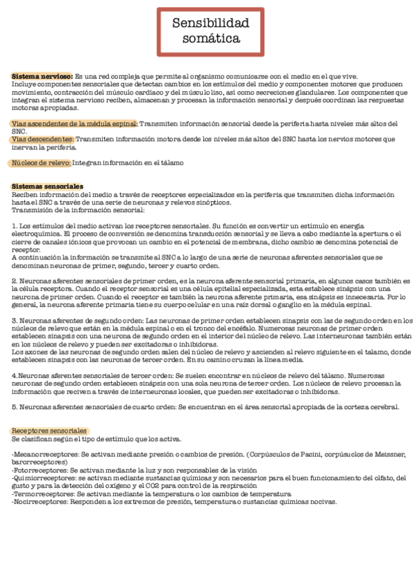 Miniatura del documento Sensibilidad-somatica.pdf